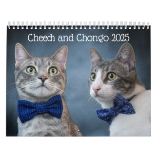 Calendário de Gatos de Gato
