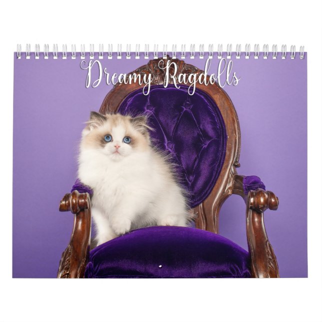 Calendário de Gatos e Gatinhos Ragdoll Sonhadores (Capa)