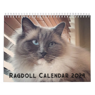 Calendário de Gatos Ragdoll
