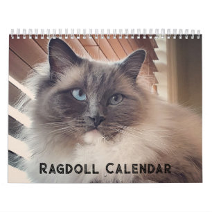 Calendário de Gatos Ragdoll