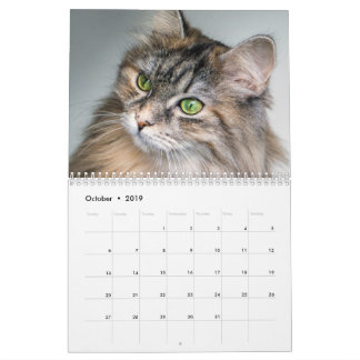 Calendário de Gatos Siberianos 2019