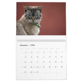 Calendário de Gats