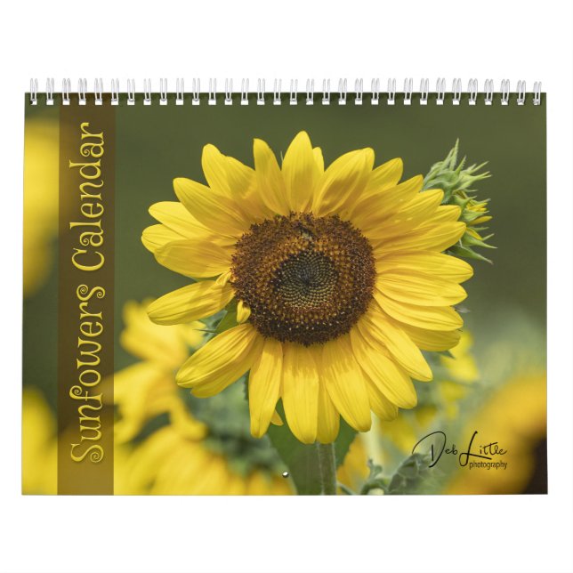 Calendário de Girassóis (Capa)