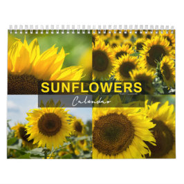 Calendário de Girassóis - Coleção de Fotos