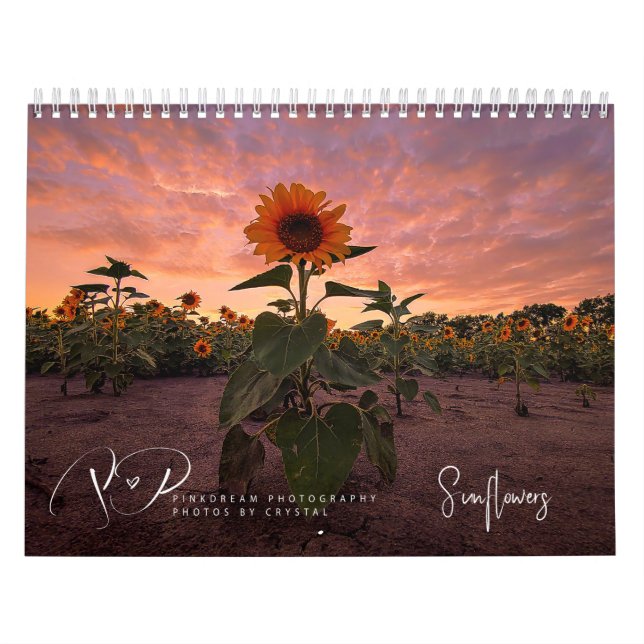 Calendário de Girassóis em Movimento (Capa)