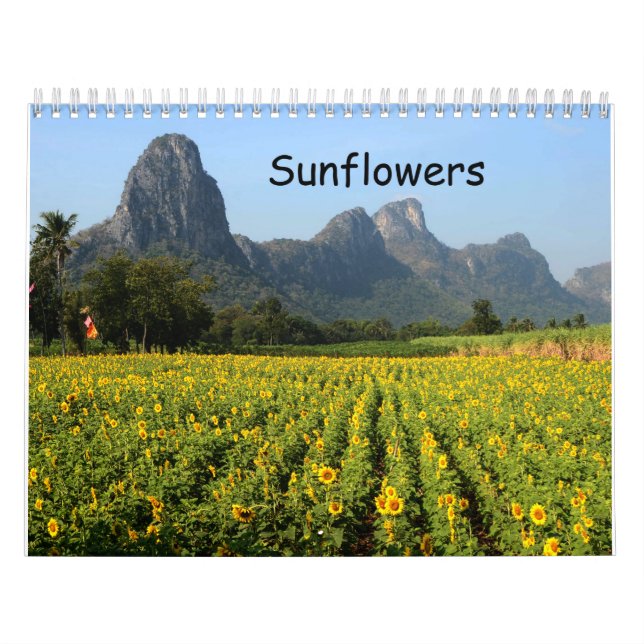 Calendário de Girassol (Capa)