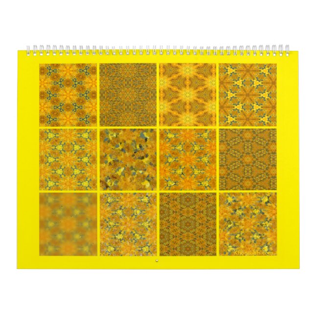 Calendário de Girassol do Urso de Teddy (Capa)