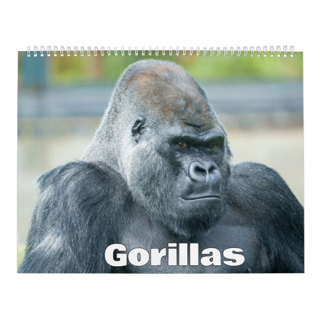 Calendário de Gorilas 2027 (Capa)