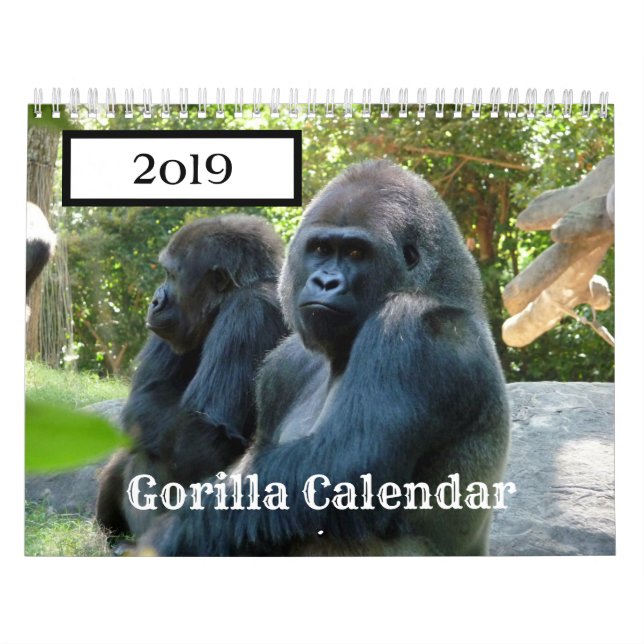 Calendário de Gorilla 2019 (Capa)