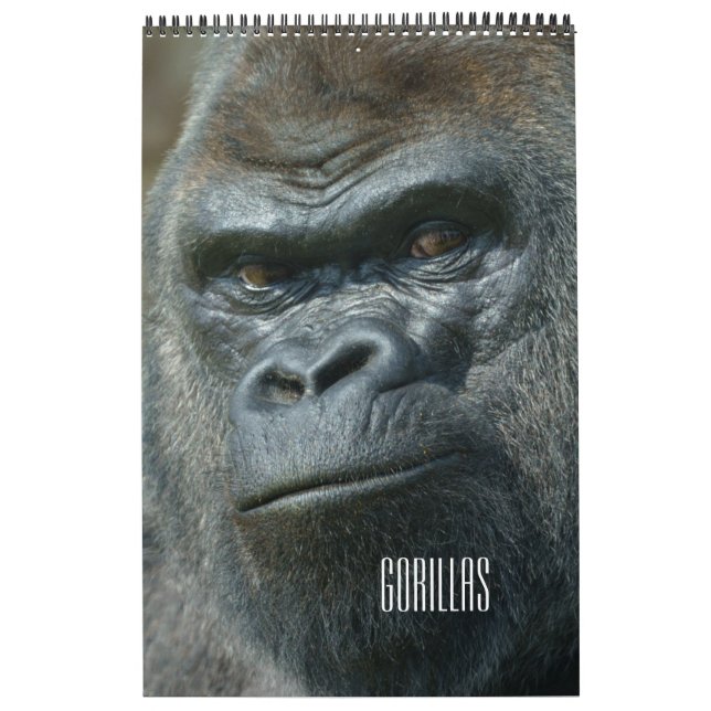 Calendário de Gorilla 2026 (Capa)