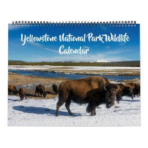 Calendário de Grande Tamanho Yellowstone - Calendá