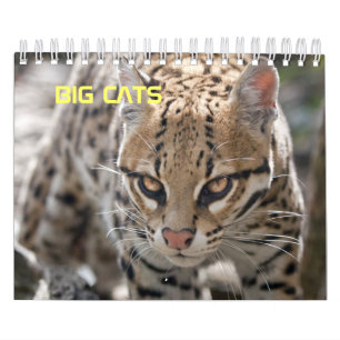 Calendário de Grandes Felinos