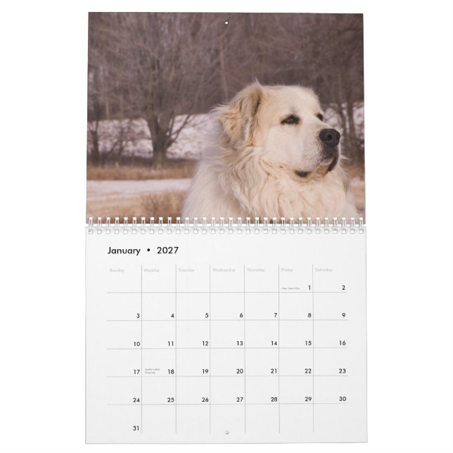 Calendário de grandes Pyrenees (Jan 2027)