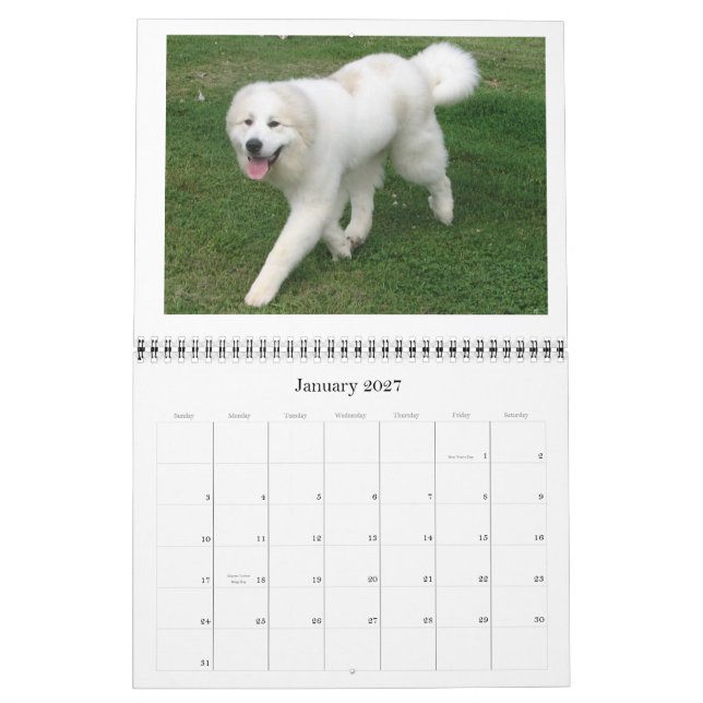 Calendário de grandes Pyrenees (Jan 2027)