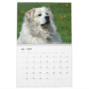 Calendário de grandes Pyrenees