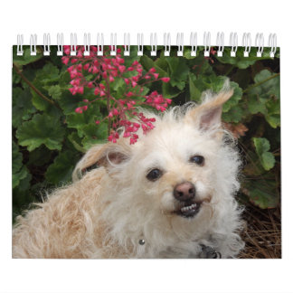 Calendário de Gwendolyn 2015