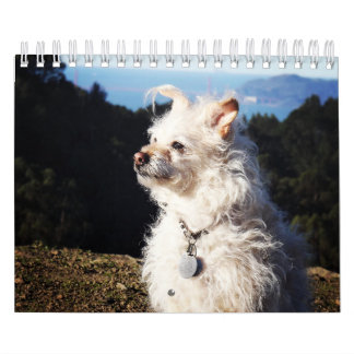 Calendário de Gwendolyn 2016