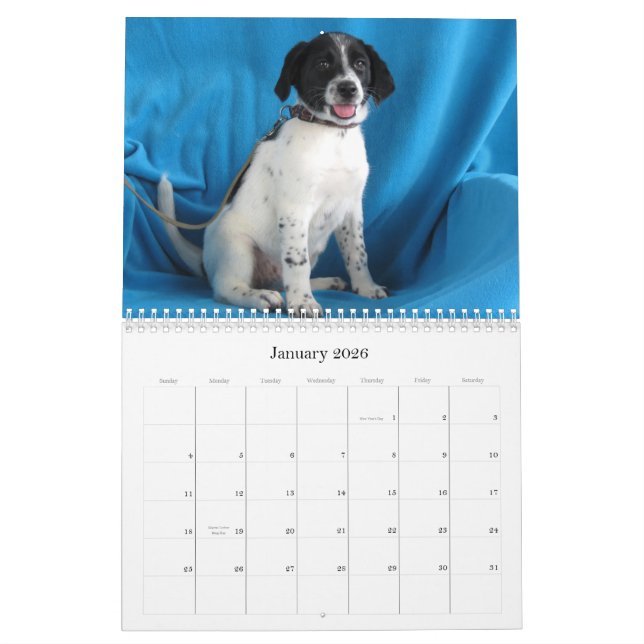 Calendário De Harlan às mãos seguras (Jan 2026)