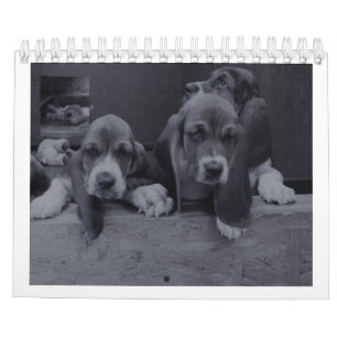 Calendário de hound de base