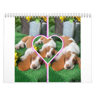 Calendário de hound de base