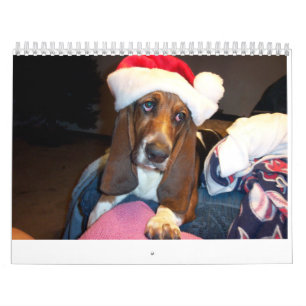 Calendário de hound de base