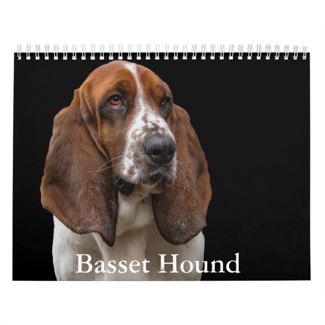 Calendário de Hound de Basset (Capa)