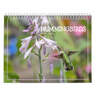 Calendário de Hummingbird