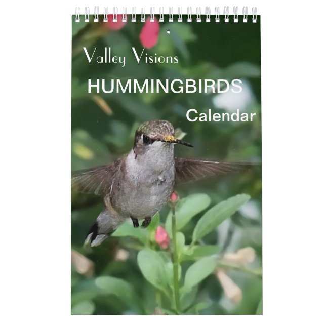 Calendário De Hummingbird Por Visões Do Vale (Capa)