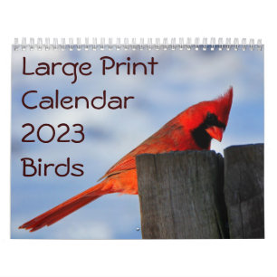 Calendário de Impressão Grande 2023 - Aves