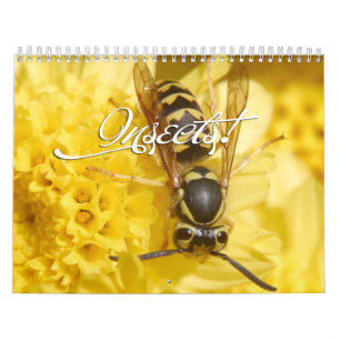 Calendário de Insetos