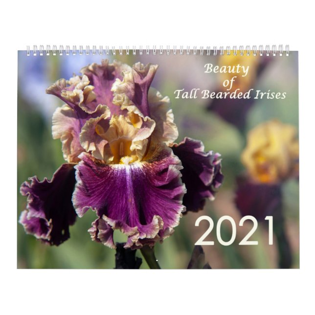 Calendário de Irises com Barras Altas para 2021 (Capa)