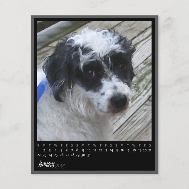 calendário de janeiro de 2012 (Frente)