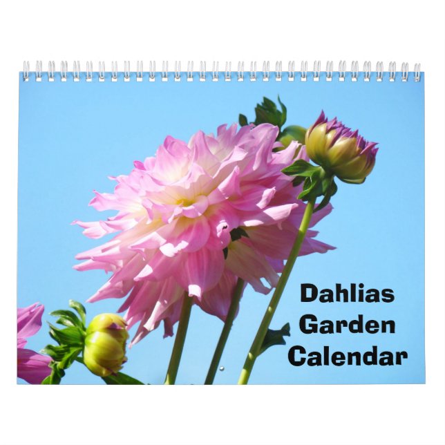 Calendário de Jardim de Dálias Fotografia Flores (Capa)