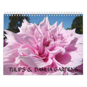 CALENDÁRIO DE JARDINS DE TULIPAS & DÁLIAS Presente