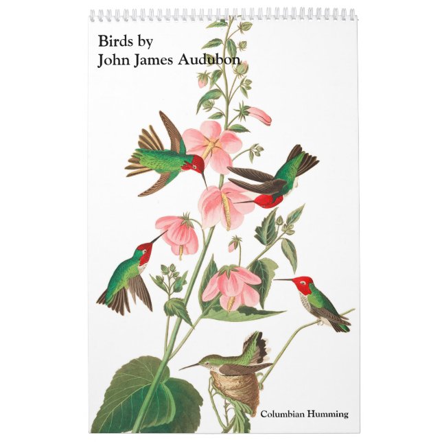 Calendário de John James Audubon (Capa)