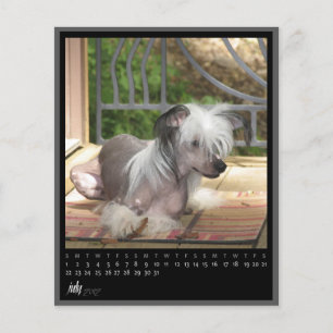 calendário de julho de 2012