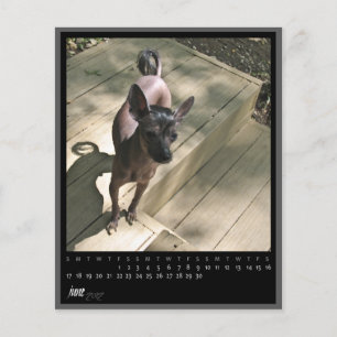 calendário de junho de 2012