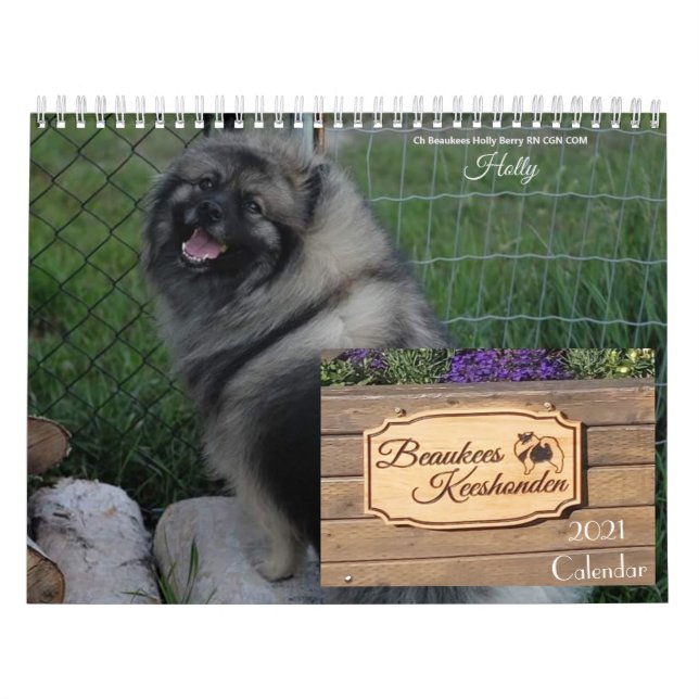 Calendário de Keeshond 2021 (Capa)