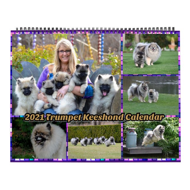 Calendário de Keeshond em 2021 (Capa)