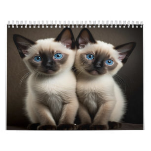 Calendário De Kitten Siamês Para Gatos