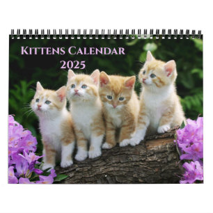 Calendário de Kittens