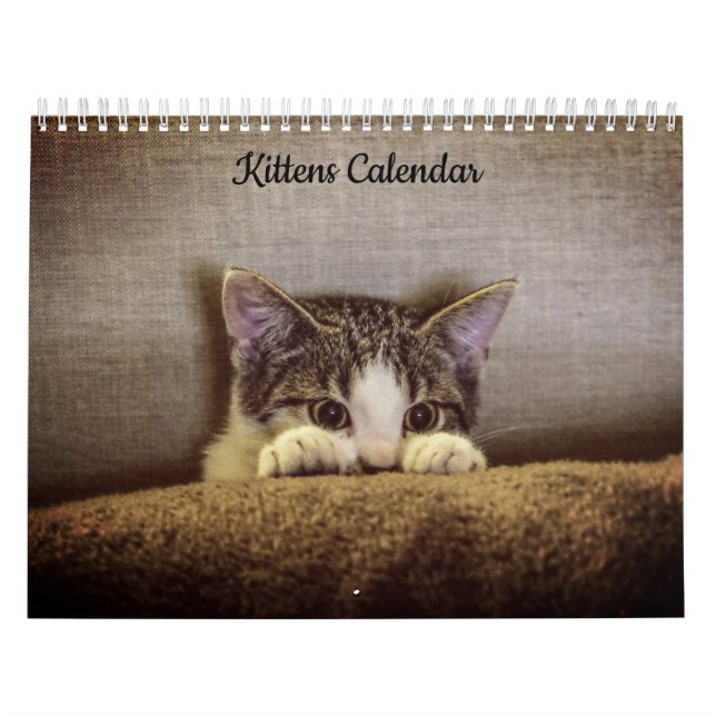 Calendário de Kittens 2026 (Capa)