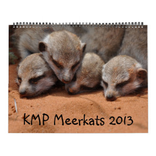 Calendário de KMP Meerkats 2013