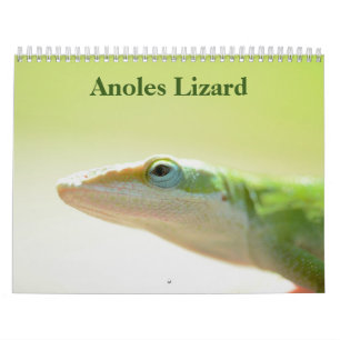 Calendário de Lagartos Anoles 2027