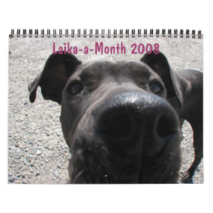 Calendário de Laika-um-Mês 2008