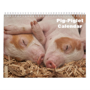 Calendário de Leitão-Porcino 2027