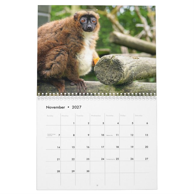 Calendário de Lemur 2025 (Nov 2027)