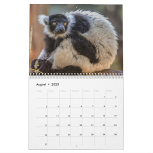 Calendário de Lemur 2025