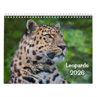 Calendário de Leopardos