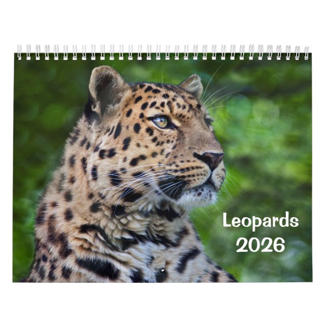 Calendário de Leopardos (Capa)